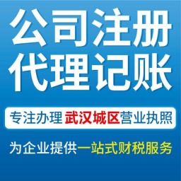武漢青山代辦公司營業(yè)執(zhí)照、工商注冊與會計服務(wù)全攻略